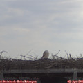 12_05-mast.jpg
