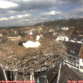 12_15-nest.jpg