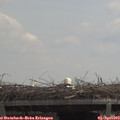 12_25-mast.jpg