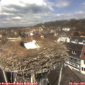 12_25-nest.jpg