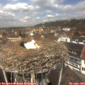 12_30-nest.jpg