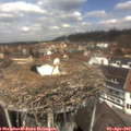 12_35-nest.jpg