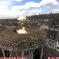 12_45-nest.jpg