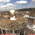 12_50-nest.jpg