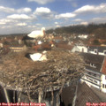 12_55-nest.jpg