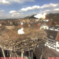 13_05-nest.jpg