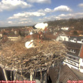 13_10-nest.jpg