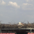 13_20-mast.jpg