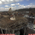13_35-nest.jpg
