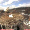 13_45-nest.jpg