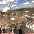 13_55-nest.jpg