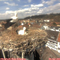 14_05-nest.jpg