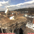 14_35-nest.jpg