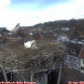 14_40-nest.jpg