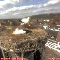 14_55-nest.jpg