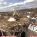 15_00-nest.jpg