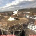 15_05-nest.jpg