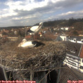 15_10-nest.jpg