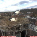 15_15-nest.jpg