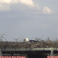 15_40-mast.jpg