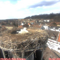 15_40-nest.jpg