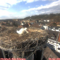 16_35-nest.jpg