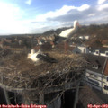 16_45-nest.jpg