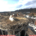 16_50-nest.jpg
