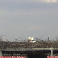 16_55-mast.jpg