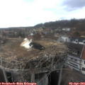 16_55-nest.jpg