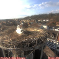 17_50-nest.jpg