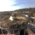 17_55-nest.jpg