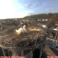 18_05-nest.jpg