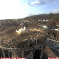 18_10-nest.jpg