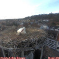 18_35-nest.jpg