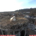 18_40-nest.jpg