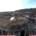 18_45-nest.jpg