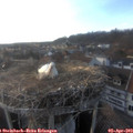 18_50-nest.jpg