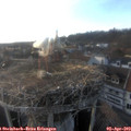 18_55-nest.jpg