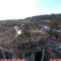 19_00-nest.jpg