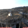 19_05-nest.jpg