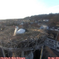 19_10-nest.jpg