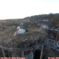 19_20-nest.jpg