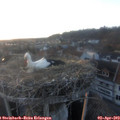 19_35-nest.jpg