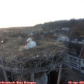 19_40-nest.jpg