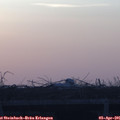 07_00-mast.jpg