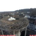 07_00-nest.jpg