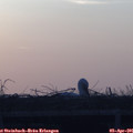 07_05-mast.jpg
