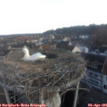 07_05-nest.jpg