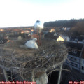 07_15-nest.jpg
